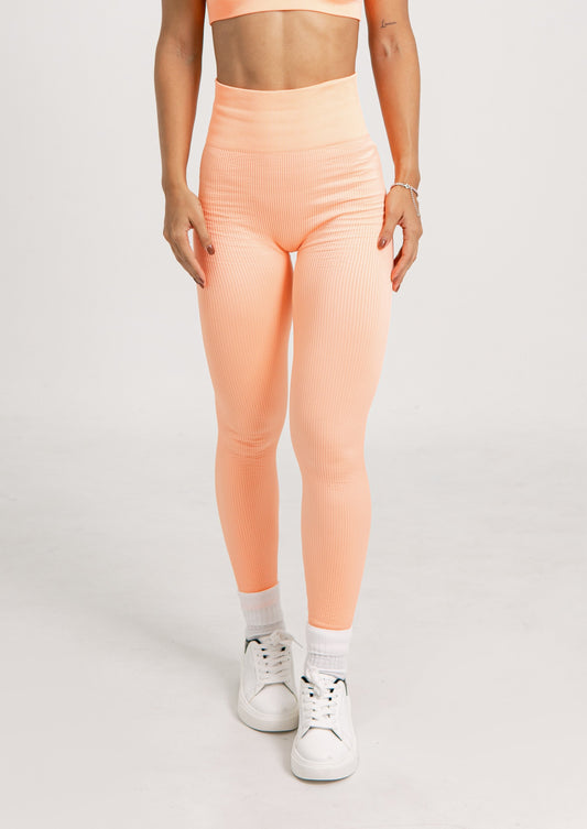 LEGGINS SEAMLESS - Ref BASIC MELON